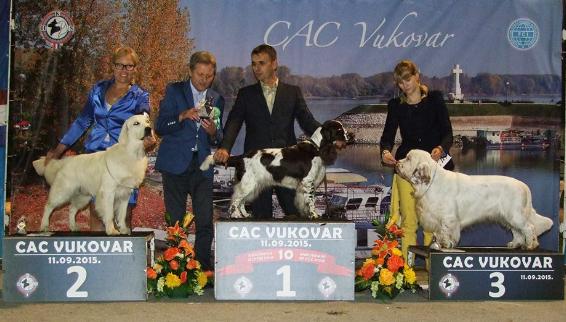 Vukovar night show group 8 winner